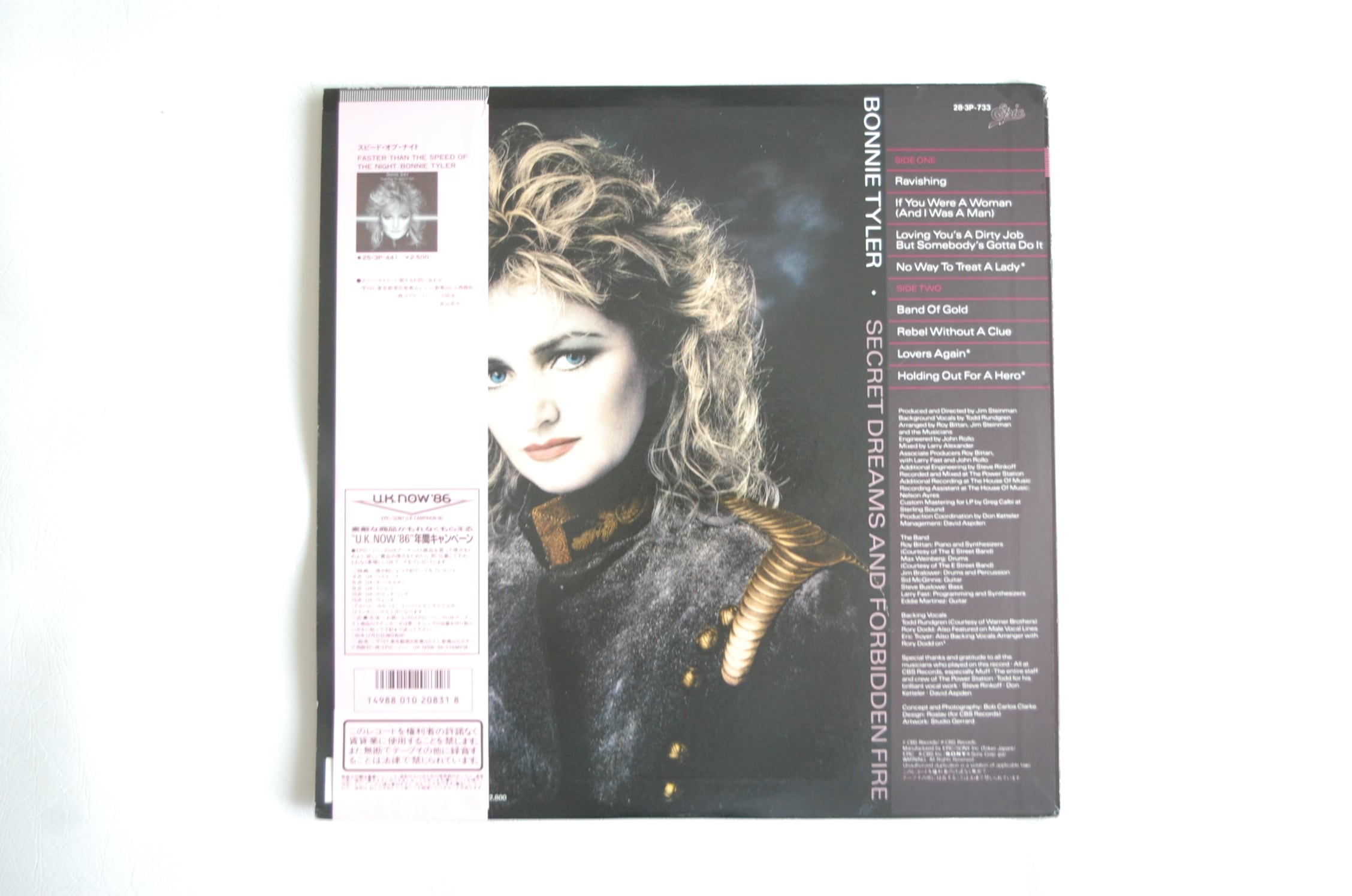 国内盤！Bonnie Tyler / ボニー・タイラー / 秘めた想い ボニー・タイラー / 秘めた想い 帯付き BONNIE・TYLER / SECRET DREAM