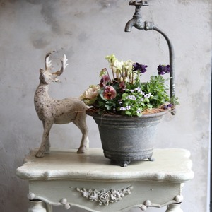 冬から春に楽しむ寄せ植え　シクラメン森の妖精とシックなハボタンの蛇口ブリキの寄せ植え　お正月にオススメ　届いてすぐ玄関に飾れる 　プレゼントにもオススメ　