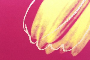 アンディ ウォーホル「デイジー(フクシャ&イエロー)Daisy,c 1982」展示用フック付ポスター ポップアート 絵画