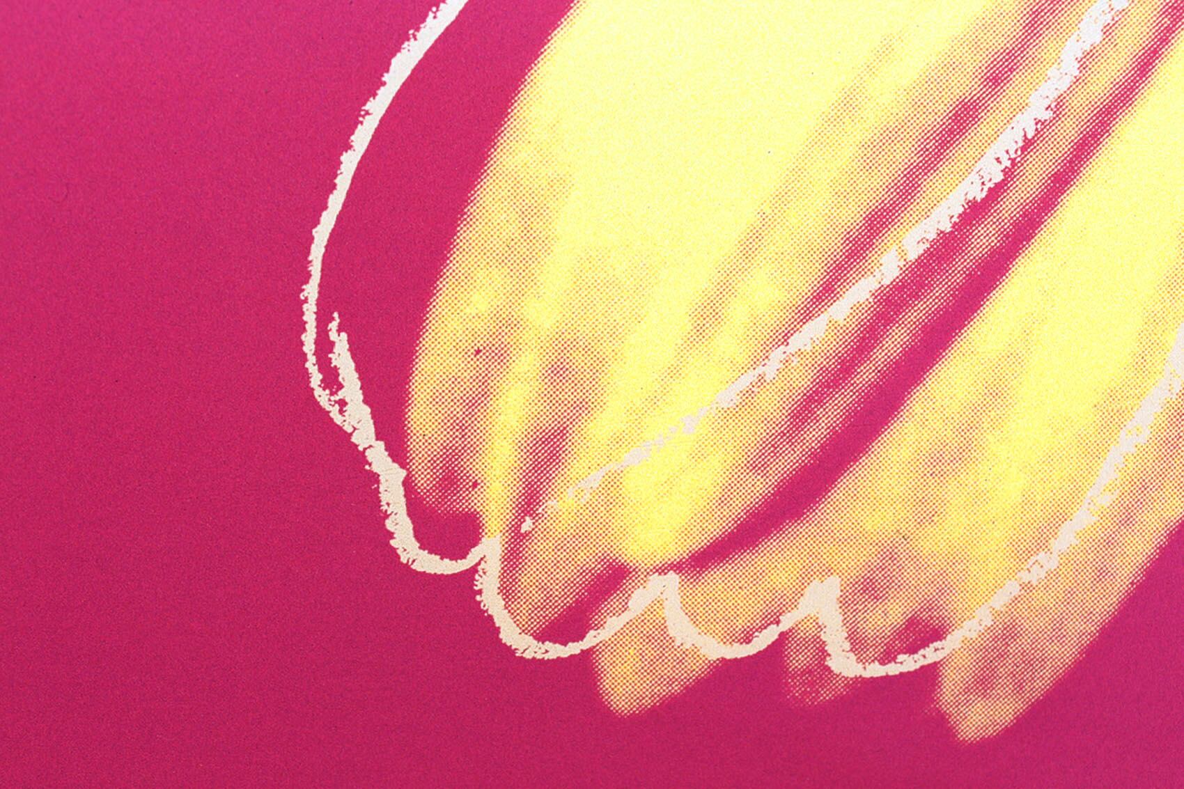 アンディ ウォーホル「デイジー(フクシャ&イエロー)Daisy,c 1982」展示用フック付ポスター ポップアート 絵画