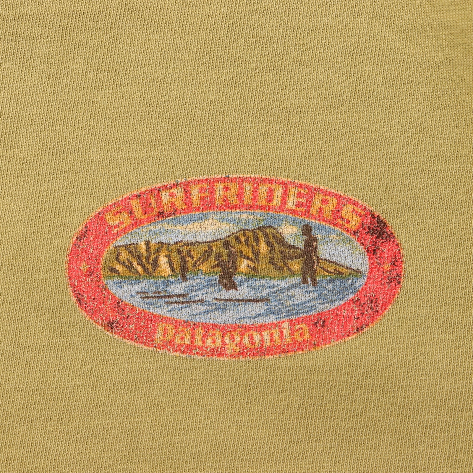 極美品 M アボカドグリーン Patagonia ベネフィシャルTシャツ