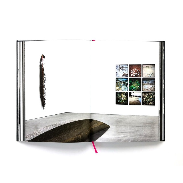 Teresita Fernández / Robert Smithson