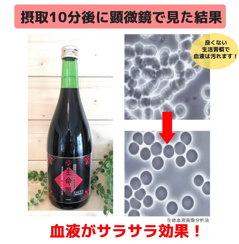 BHC】酵素 生命源 | TORIKO公式通販SHOP