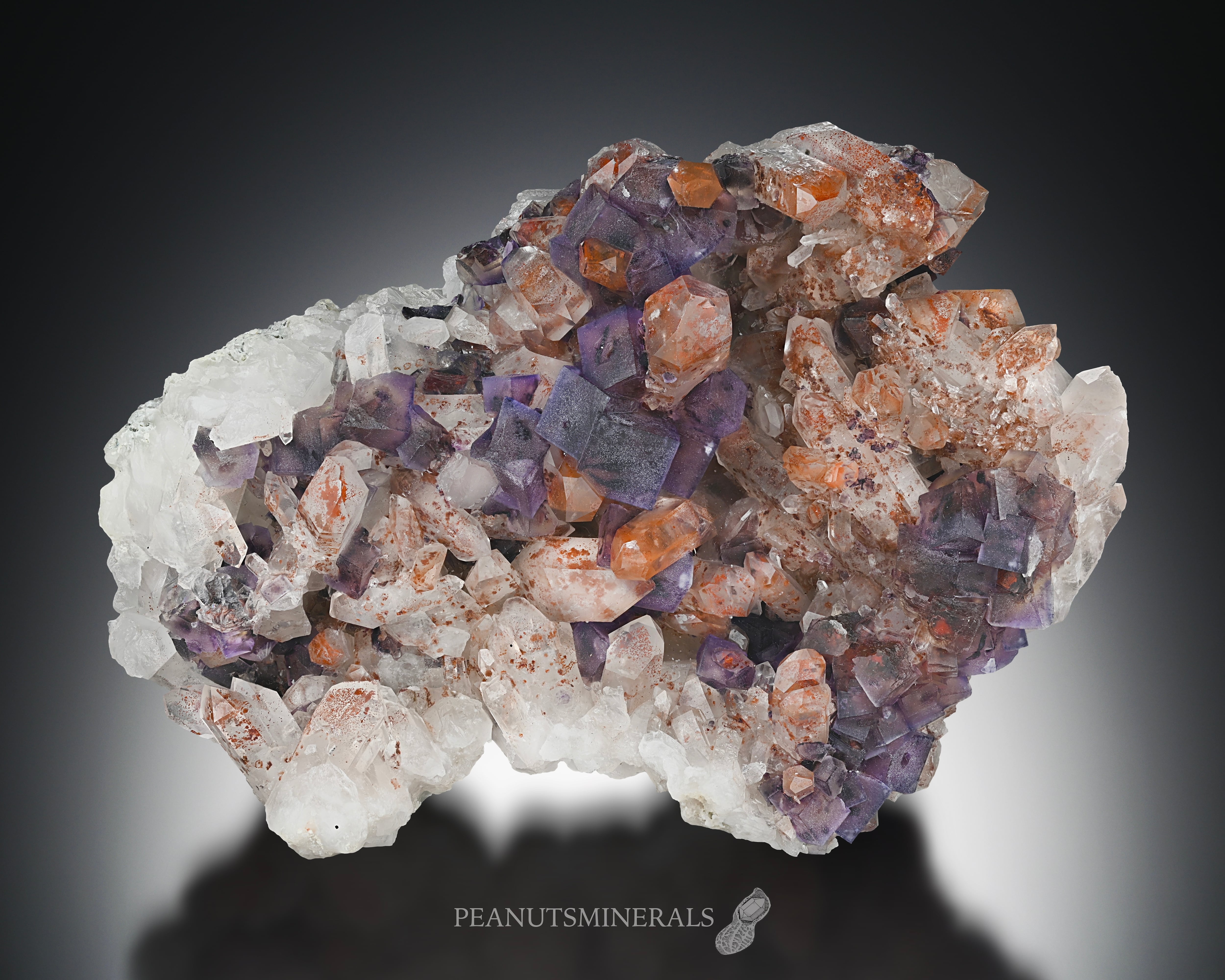 d396adbc76812c64de2dfaa3d2f944