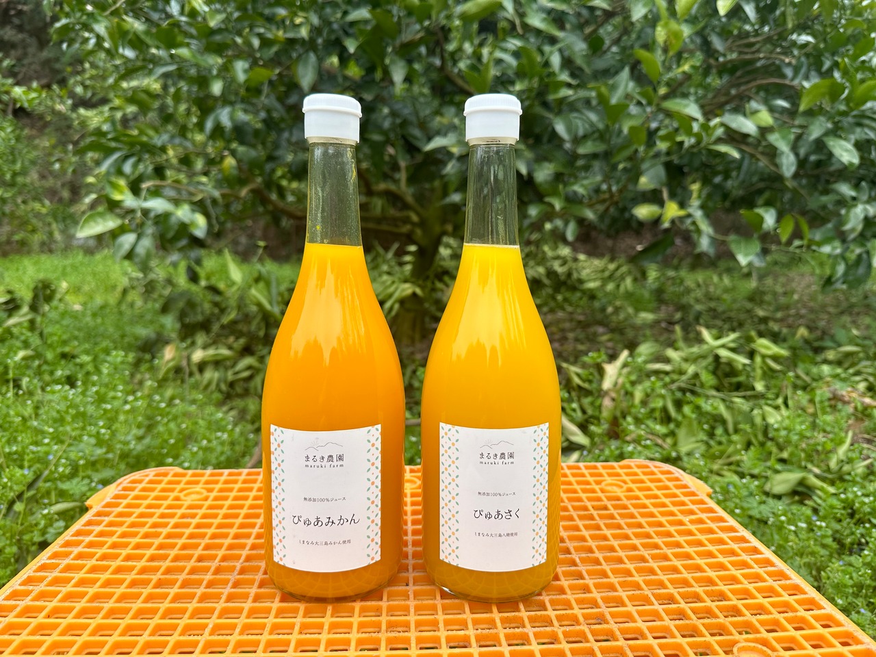 ぴゅあさくジュース６本セット【愛媛県産八朔丸ごと生しぼり！ゴクゴク飲める♪農薬・化学肥料不使用不使用