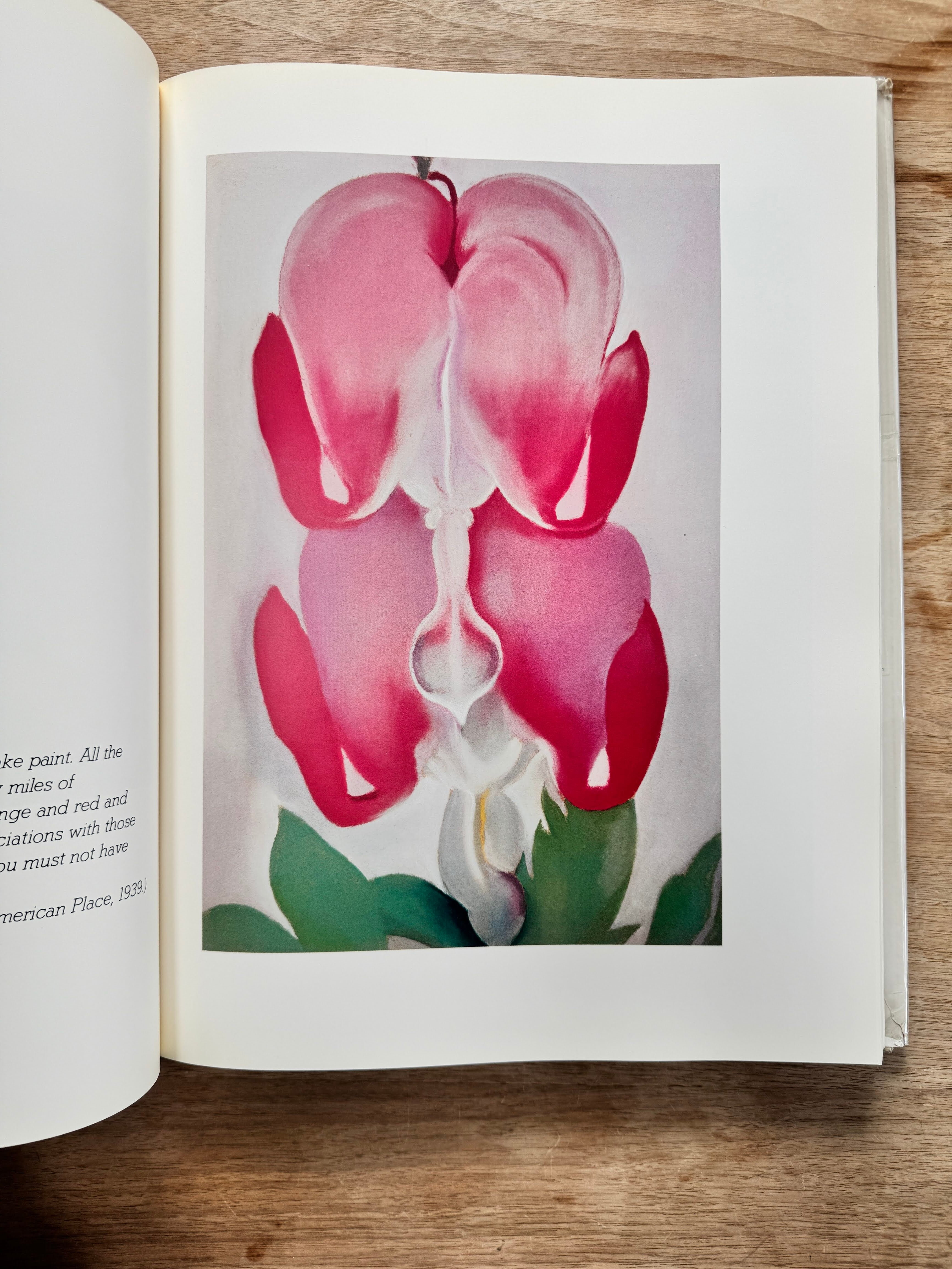 O'Keeffe アートブック　ケース付き Amazon | O'Keeffe (Basic Art 2.0) | Benke, Britta | Plants