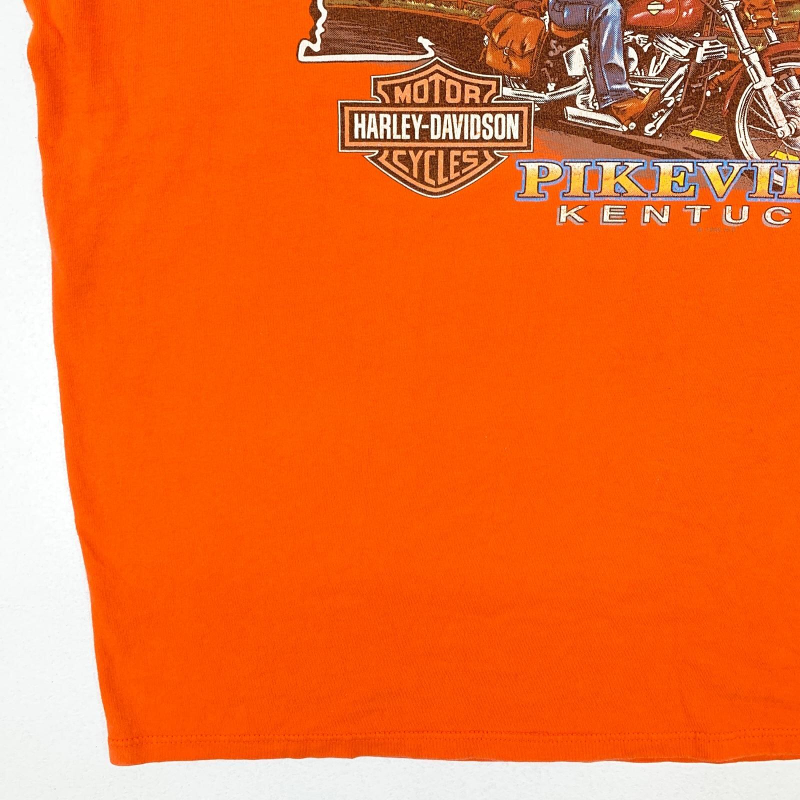 ハーレーダビットソン　サンダー　Tシャツ　オレンジ ハーレーダビッドソン 半袖Tシャツ オレンジ Lサイズ ロゴT 両面