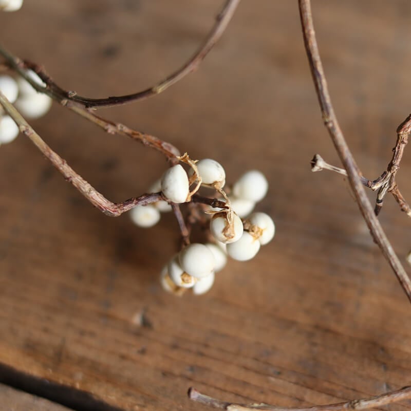大枝・ロング】 ナンキンハゼの木 ドライフラワー / 国産 花材