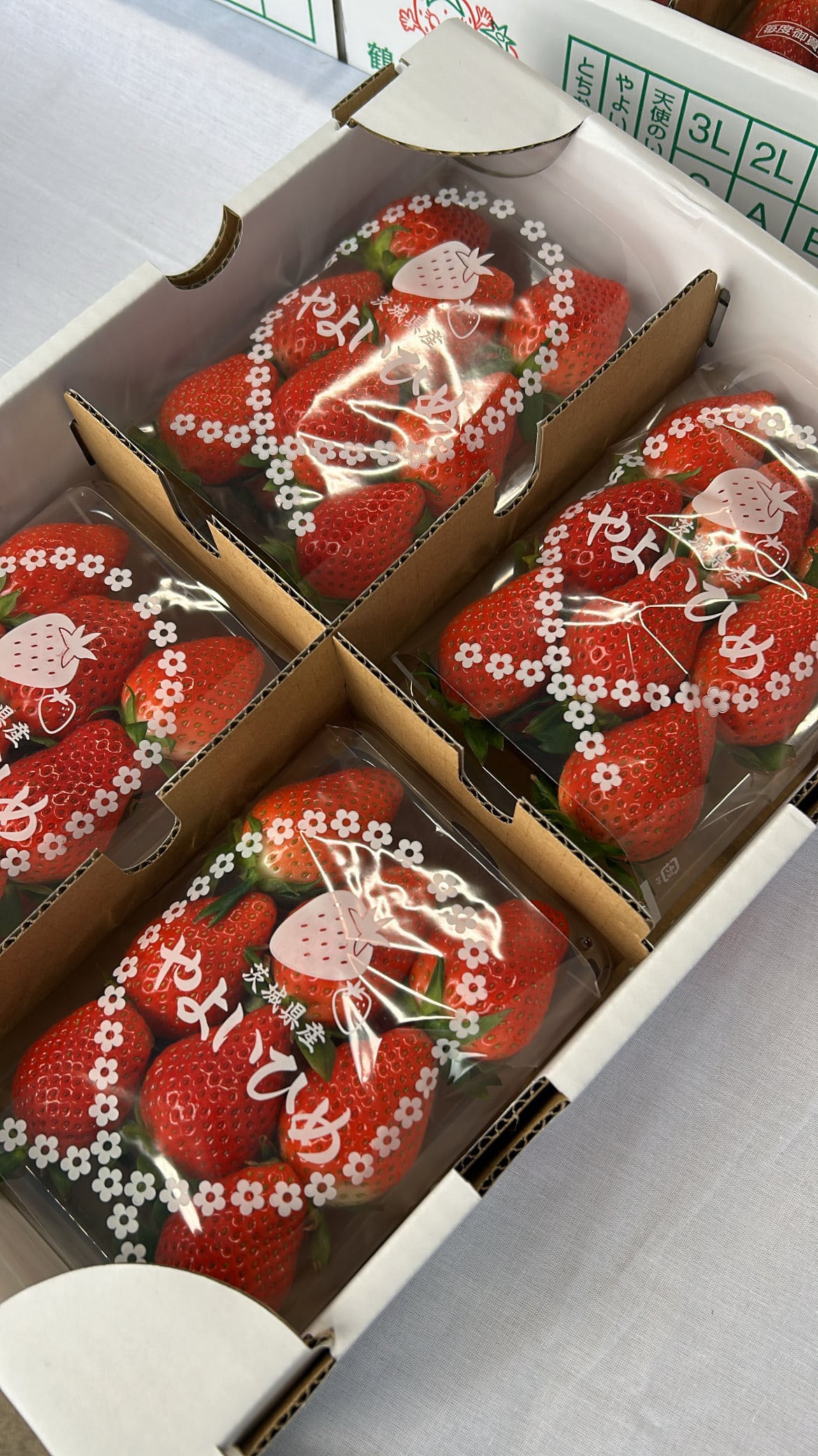 朝どり】茨城県産やよいひめ | 3L 270g | 4パック1箱 | 茨城県産