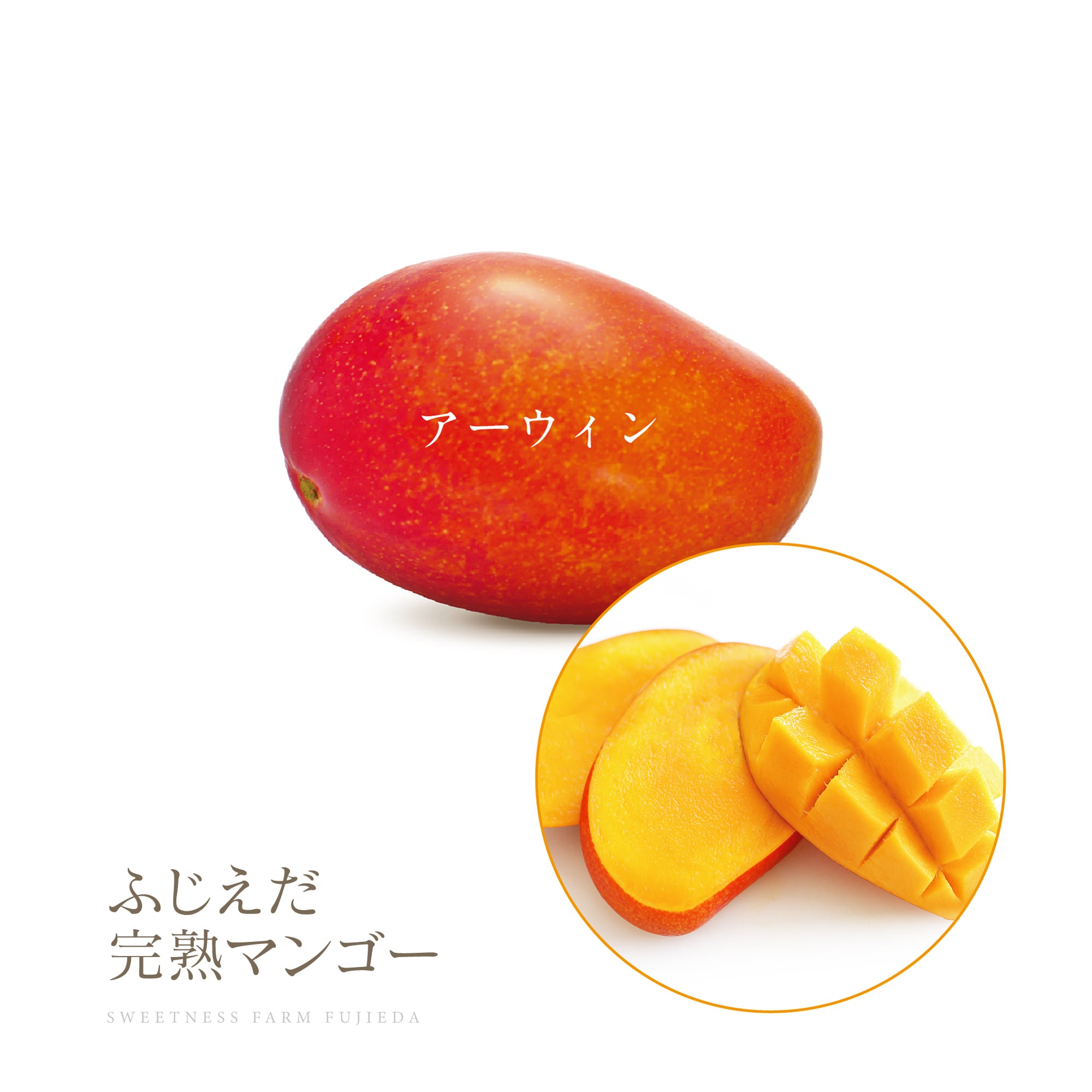 ご自宅用【詰合せ】品種ミックスわくわく1kg | ふじえだ完熟マンゴー
