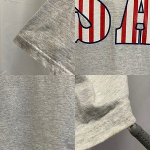 7195  anvil Tシャツ USA ロゴ 星条旗 L