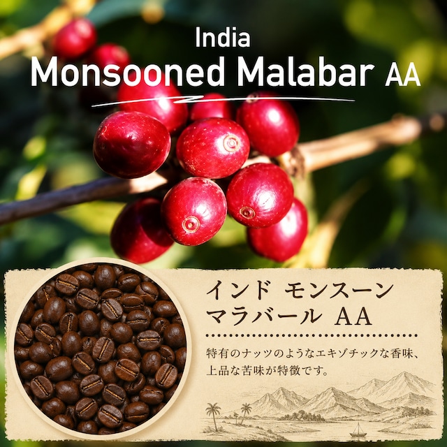 インド モンスーン マラバールAA 100g | 山の近くコーヒー