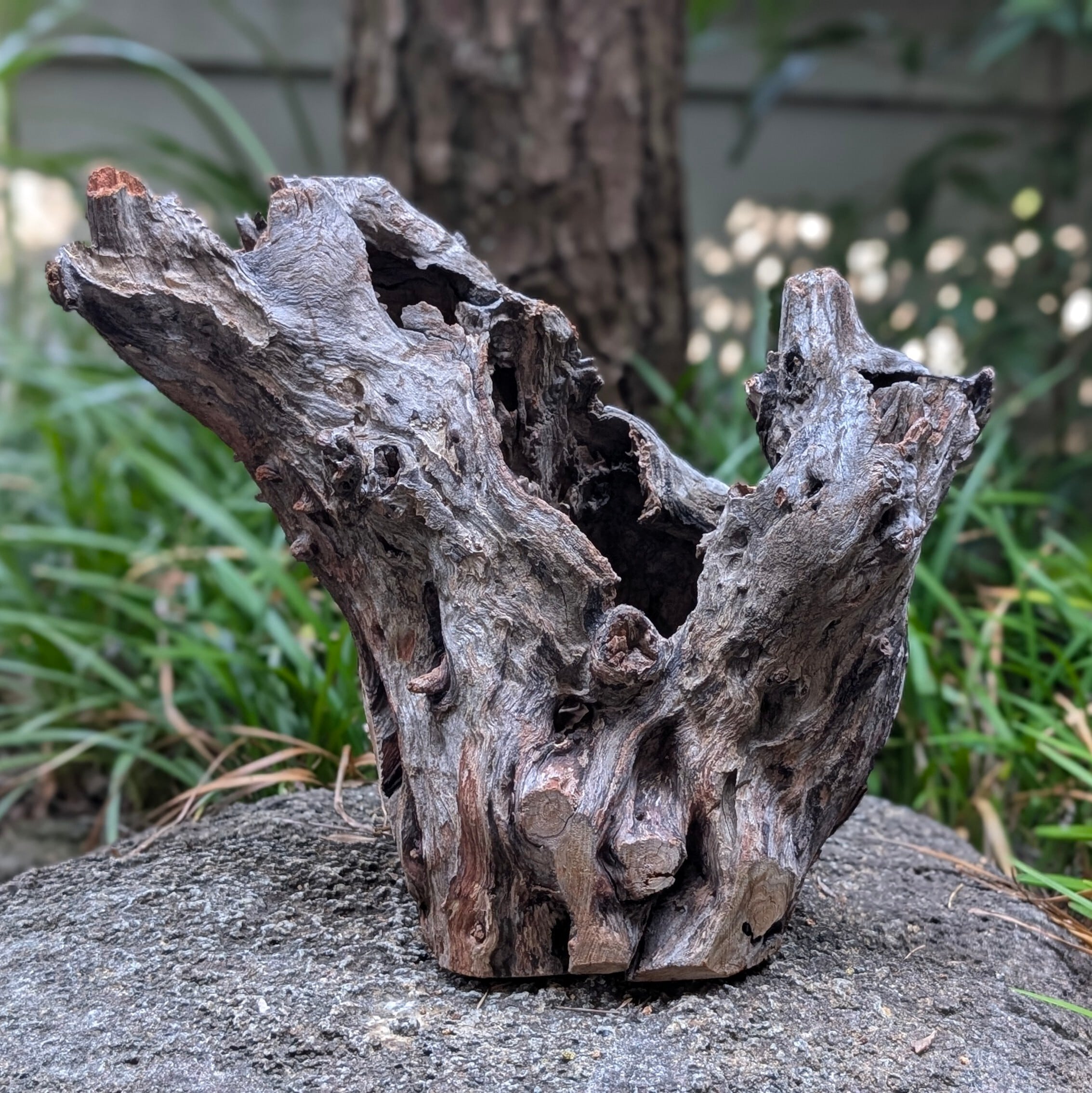 スタンプウッド | ペットの流木 水宗工房