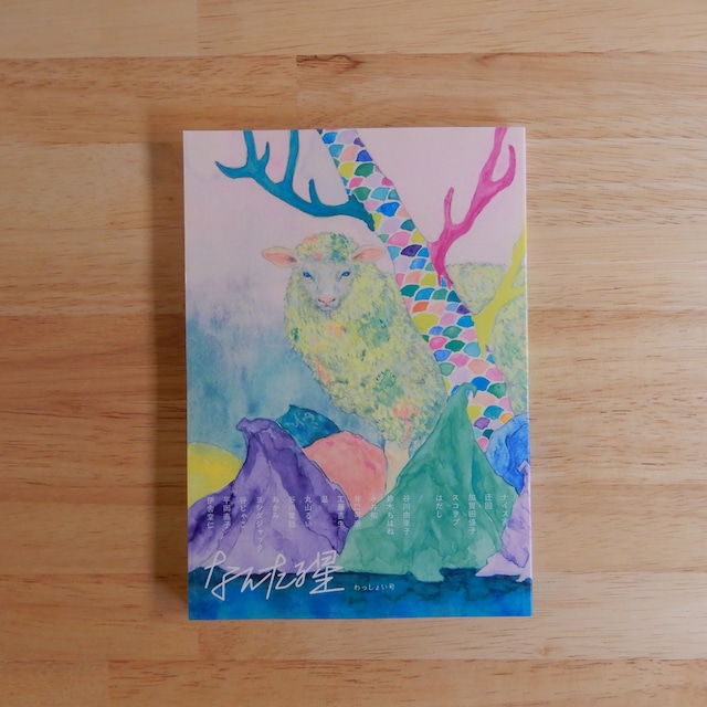 なんたる星 わっしょい号