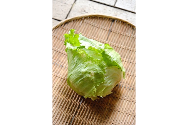 【シャキシャキ食感】玉レタス・1個