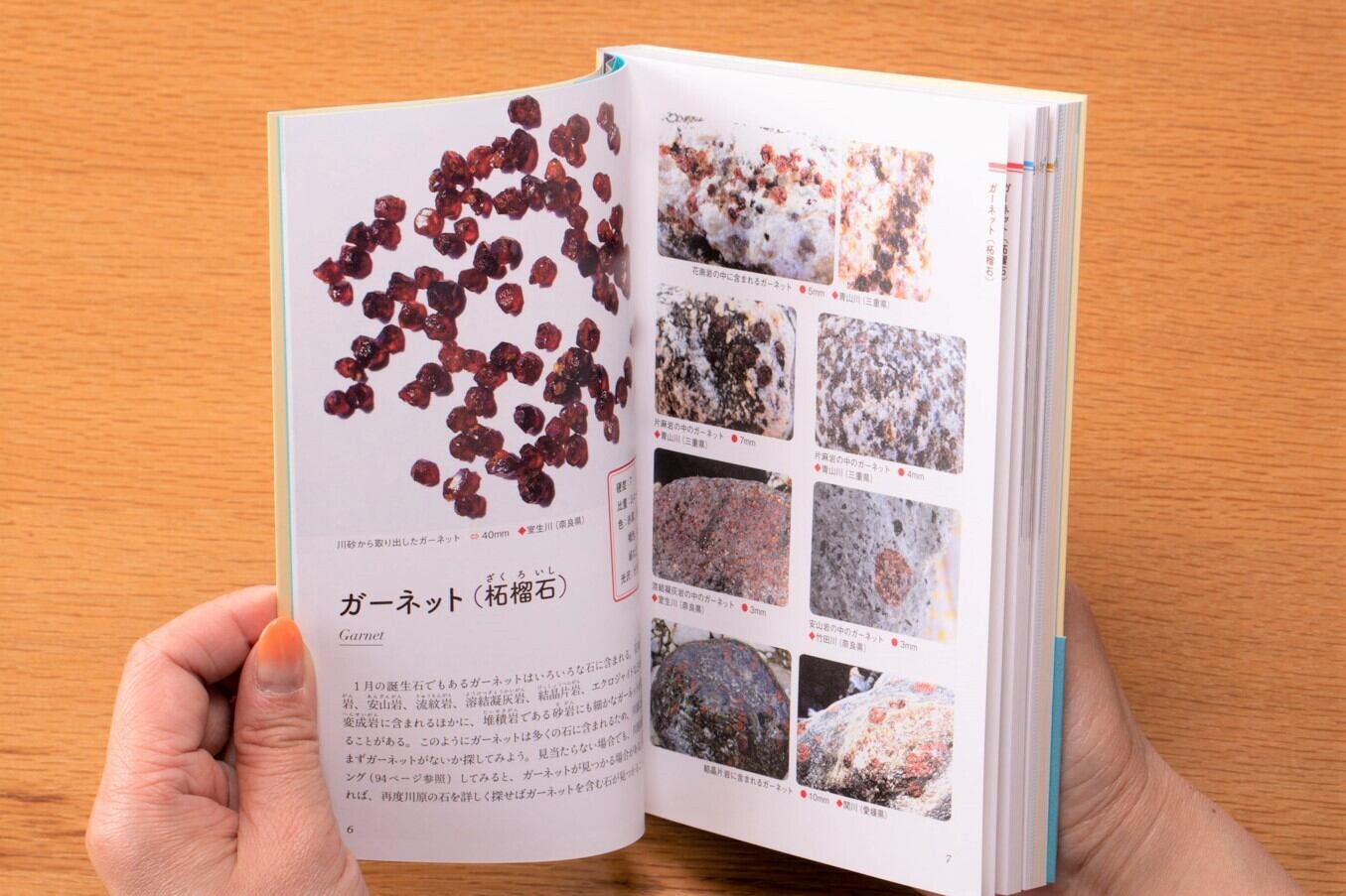 ひとりで探せる 川原や海辺のきれいな石の図鑑 | かざりすの森