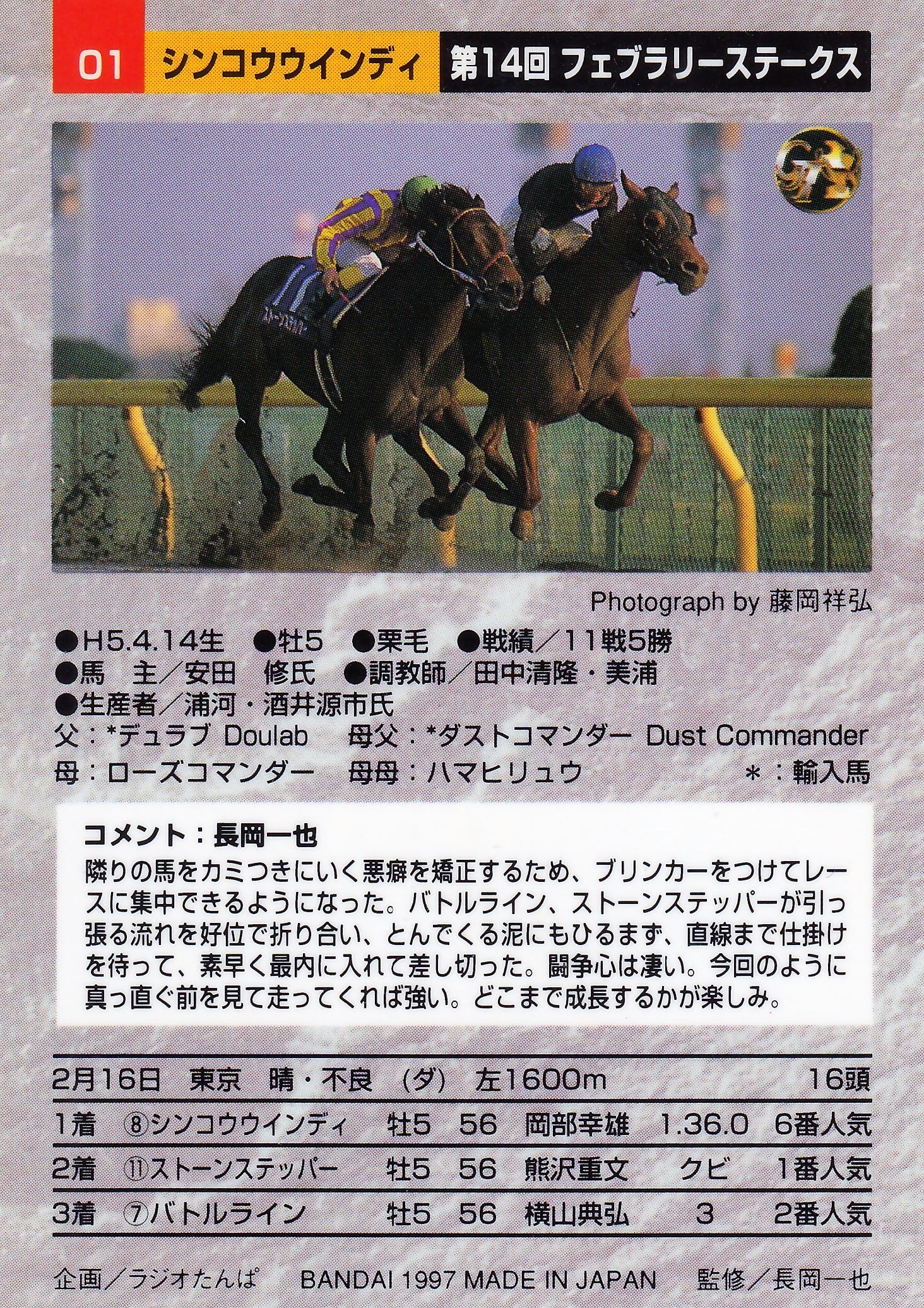 シンコウウインディ 第14回 フェブラリーステークス 6人気 1着 シンコウウインディ 第14回 フェブラリーステークス 6人気 1着 【公式