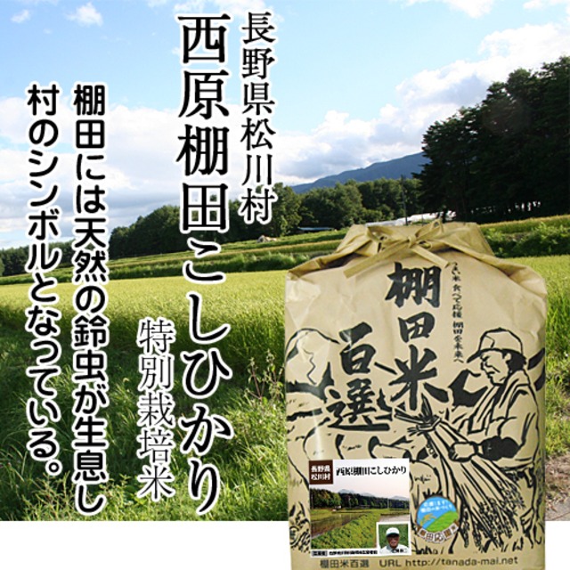 【令和5年産】長野県松川村こしひかり【特別栽培米認証】（白米／玄米 5kg）