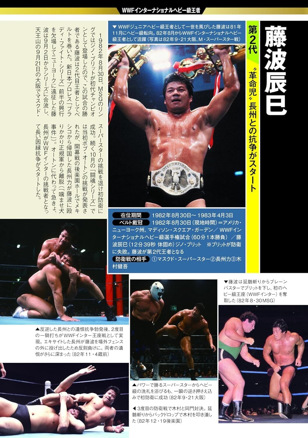 日本プロレス歴代王者名鑑 ヘビー級シングル編(3) | プロレスショップ