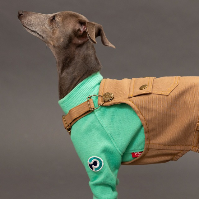 オーバーオール2023　beige / イタグレ服