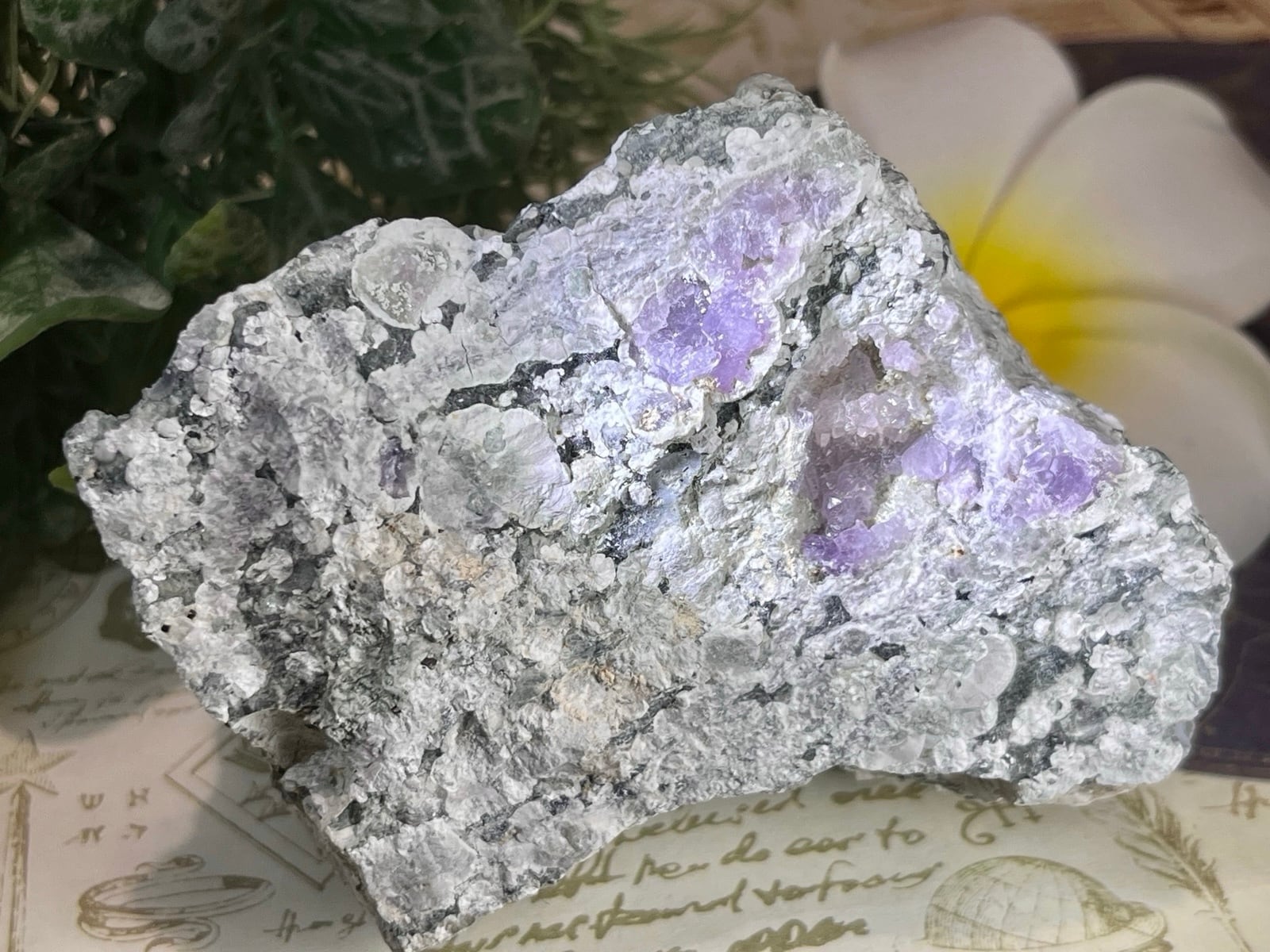 オルゴナイト うさぎ レインボーローズ グリーン系 オルゴナイト うさぎ レインボーローズ グリーン系