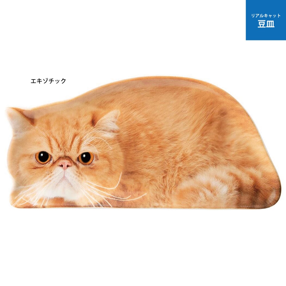 新品　九谷焼　縁起豆皿　猫　ねこ　ネコ