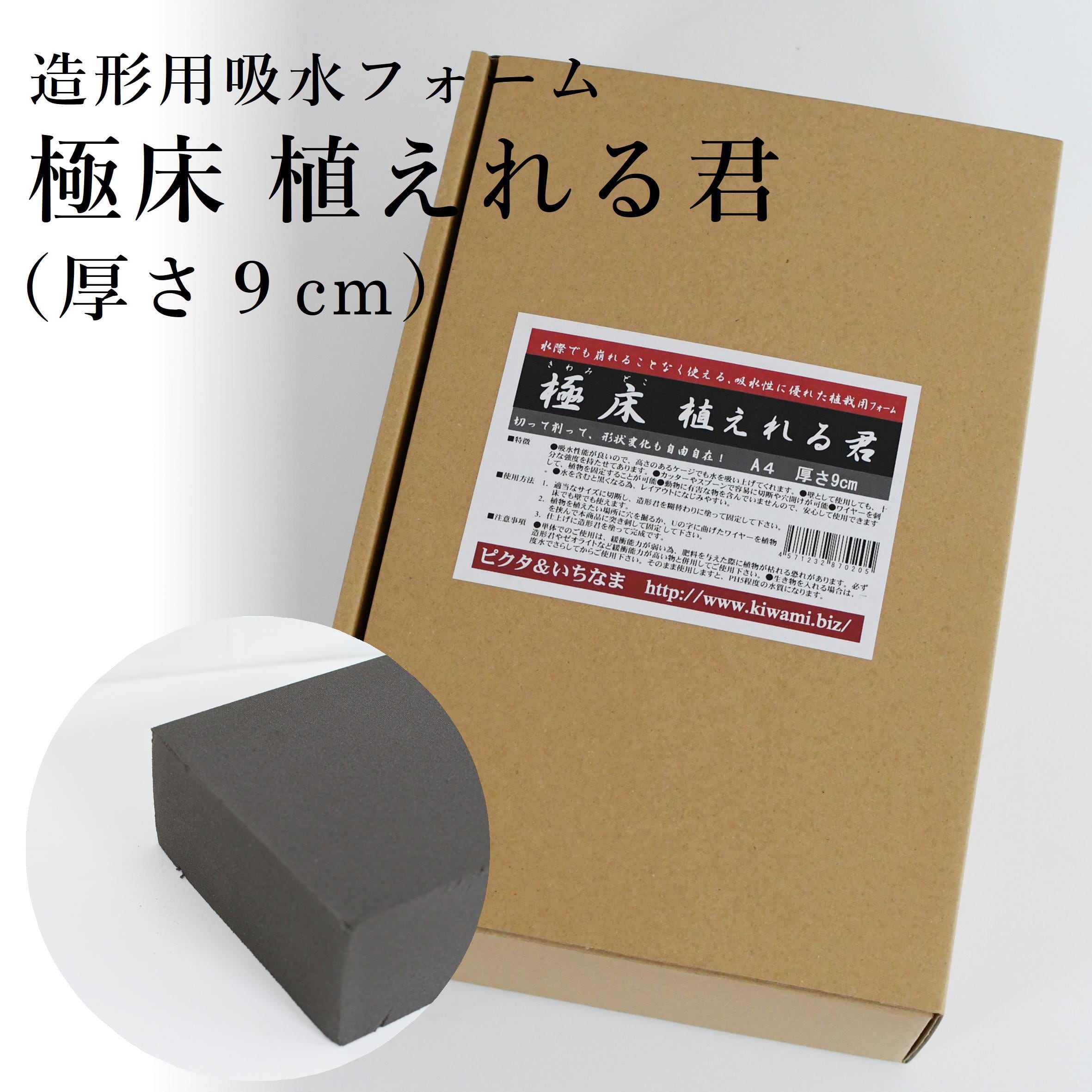 レイアウト用資材】極床植えれる君（厚さ9cm）◇動画解説あり | 苔