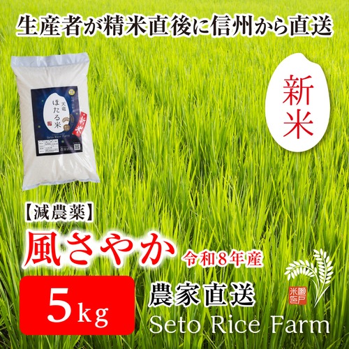 【R8年度 新米】減農薬　信州のブランド米「風さやか」　5kg　あっさりとした食感が女性に好評！