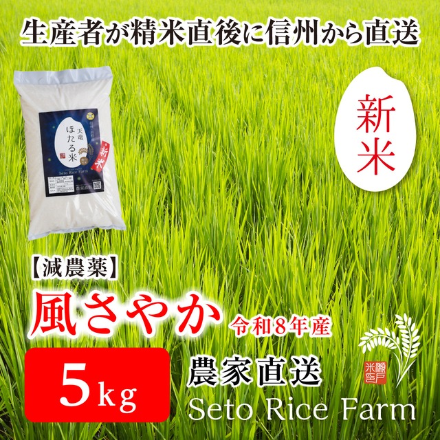 【R8年度 新米】減農薬　信州のブランド米「風さやか」　5kg　あっさりとした食感が女性に好評！