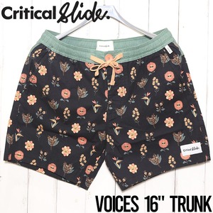 ボードショーツ サーフパンツ Critical Slide クリティカルスライド TCSS ティーシーエスエス VOICES 16 TRUNK BS2409328
