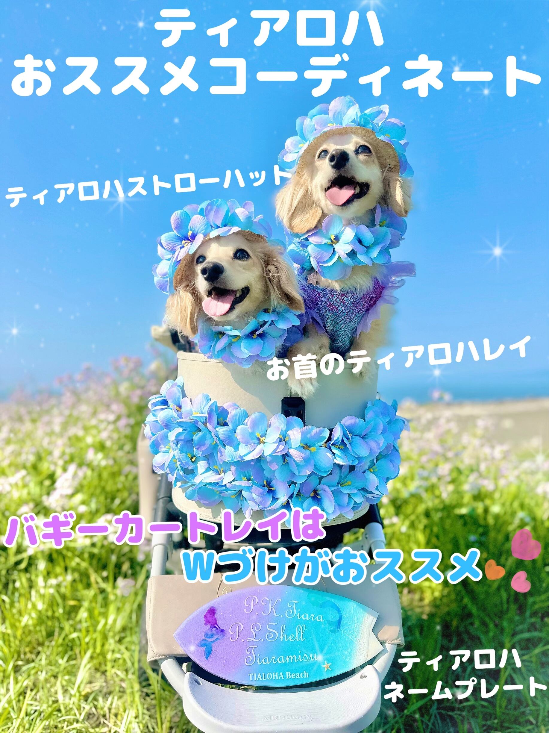 大型犬猫L レアマーメイド