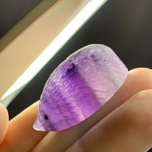 70大家族☆フローライトハリネズミさん