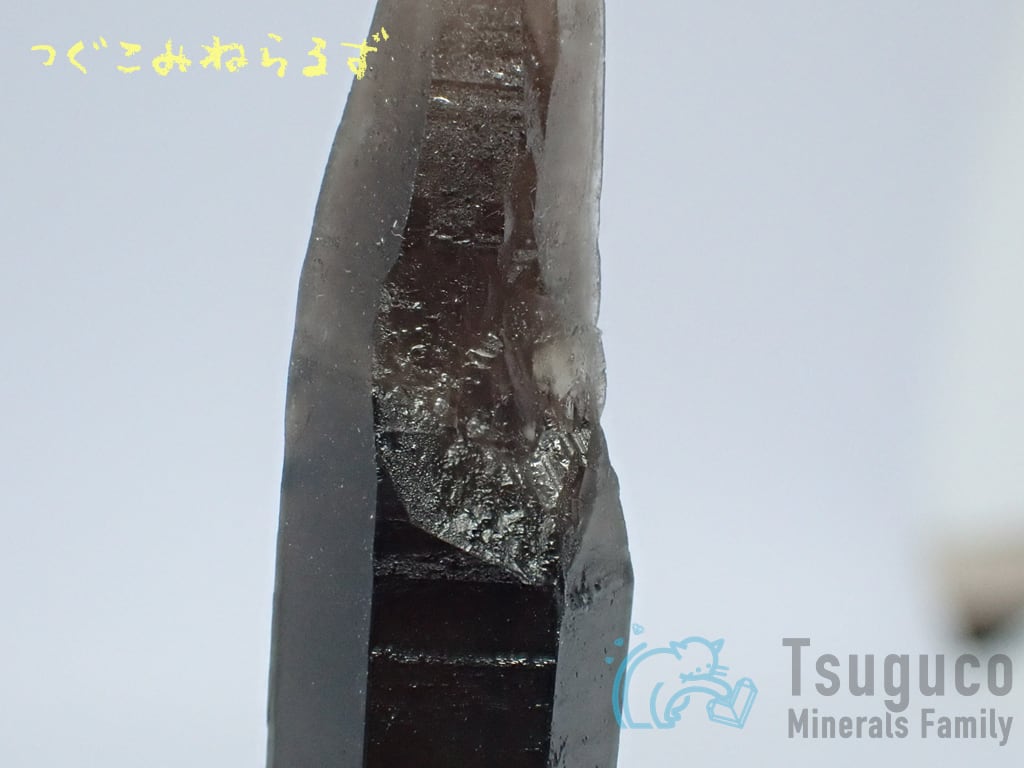 スモーキークォーツ 煙水晶 Smoky Quartz アメリカ TM-0028