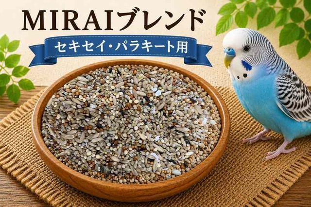 【MIRAI-UPオリジナル】MIRAIブレンド セキセイ・パラキート用2.5ｋｇ