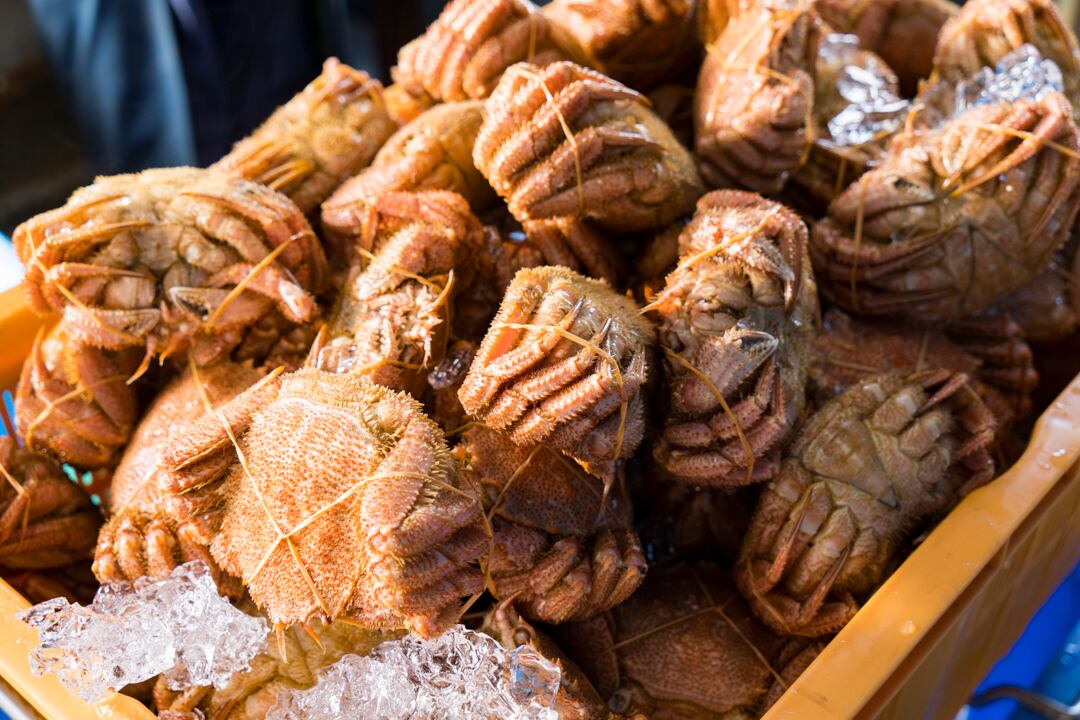 山口水産　匠の極上仕上げ　１尾４００グラム前後　【ボイル・冷凍・個数色々選択できます】