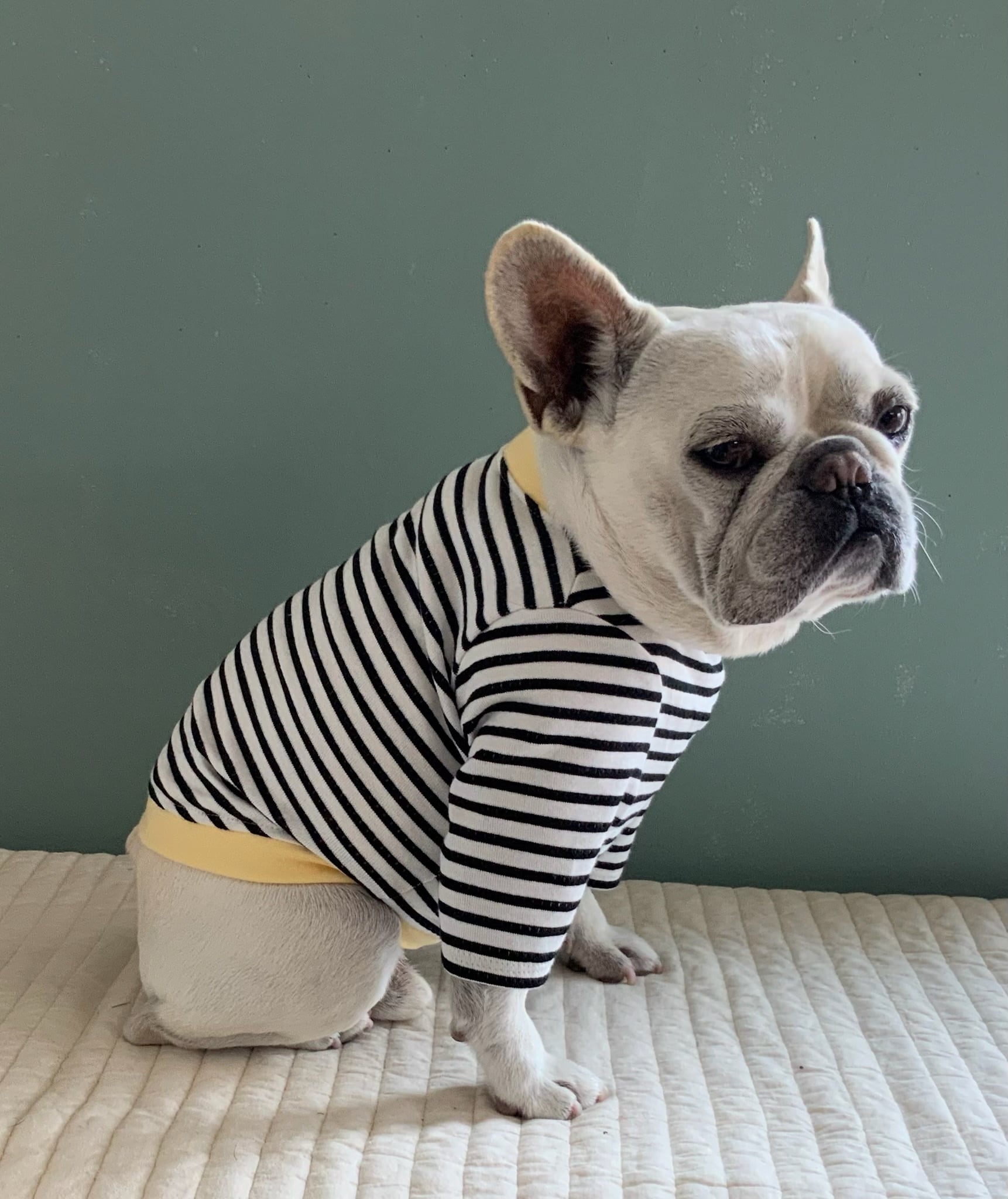 Dots hole border Black x Yellow | Bullson