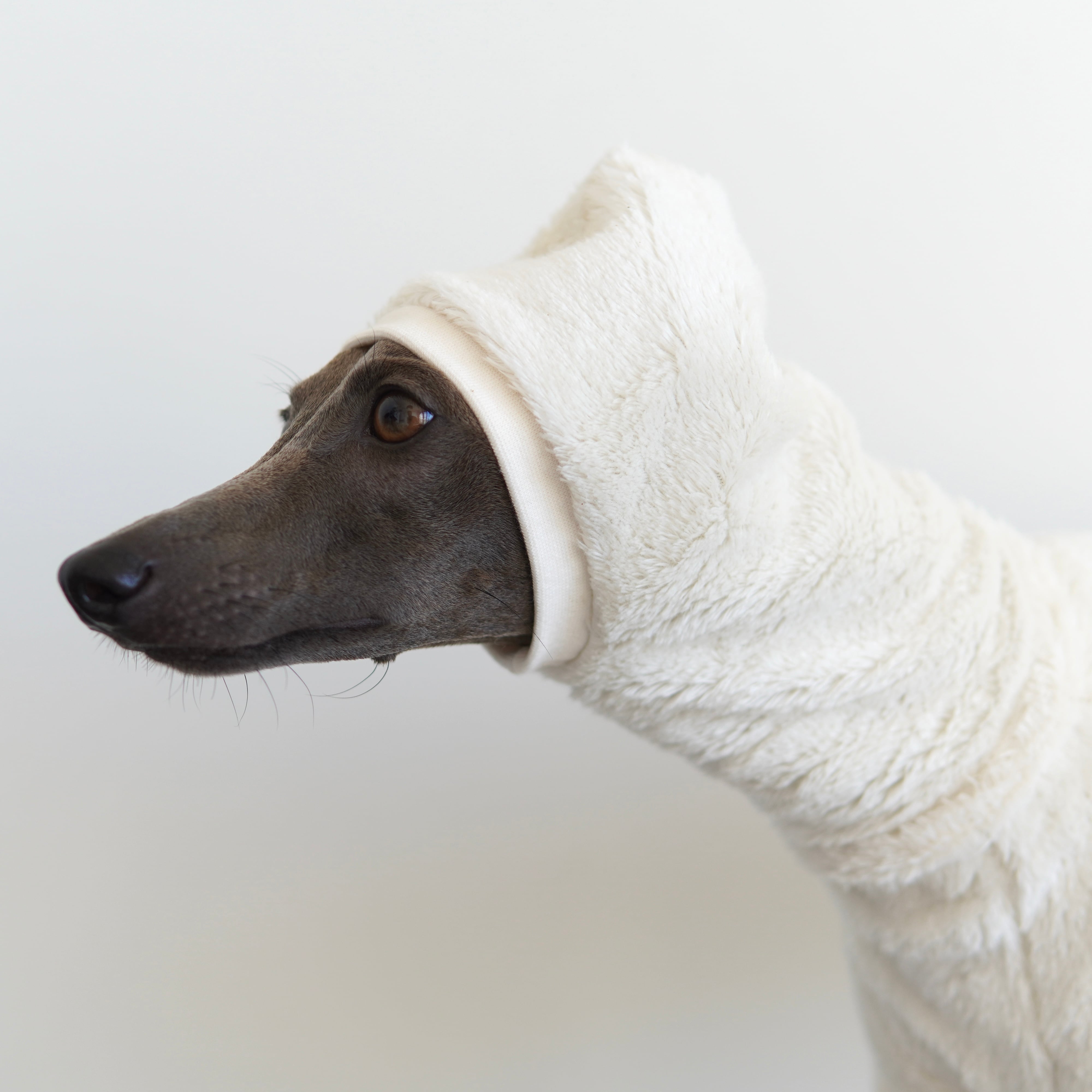 organic cotton pullover | bacio