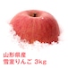 山形県産 雪室りんご 3kg（3月上旬～3月中旬限定）