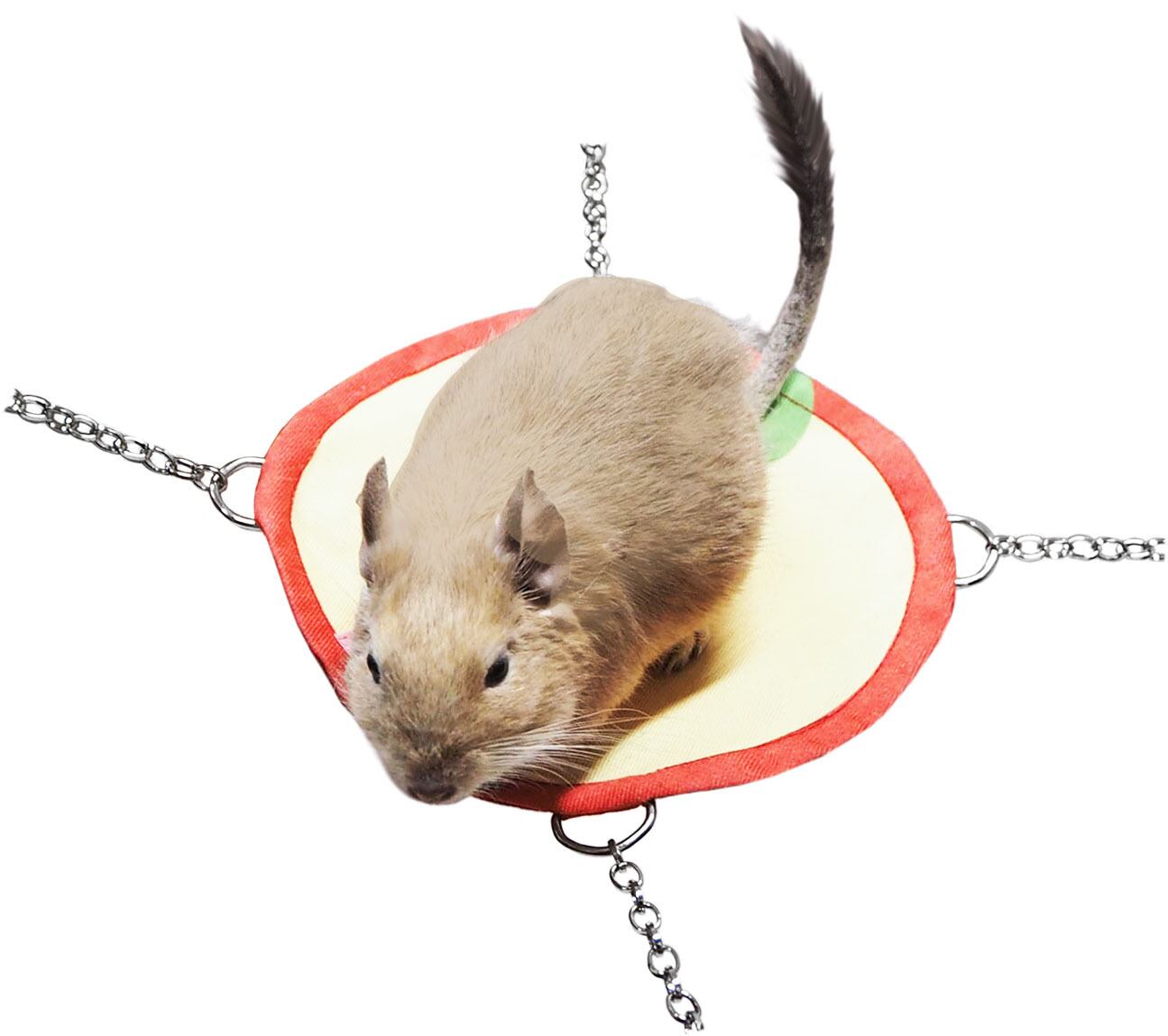 【小動物】まんまるフルーツハンモック りんご / オレンジ / キウイ