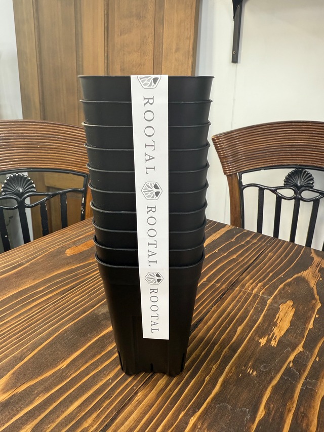 NIPPORI プレステラ深鉢90(3号)　ブラック　10個セット