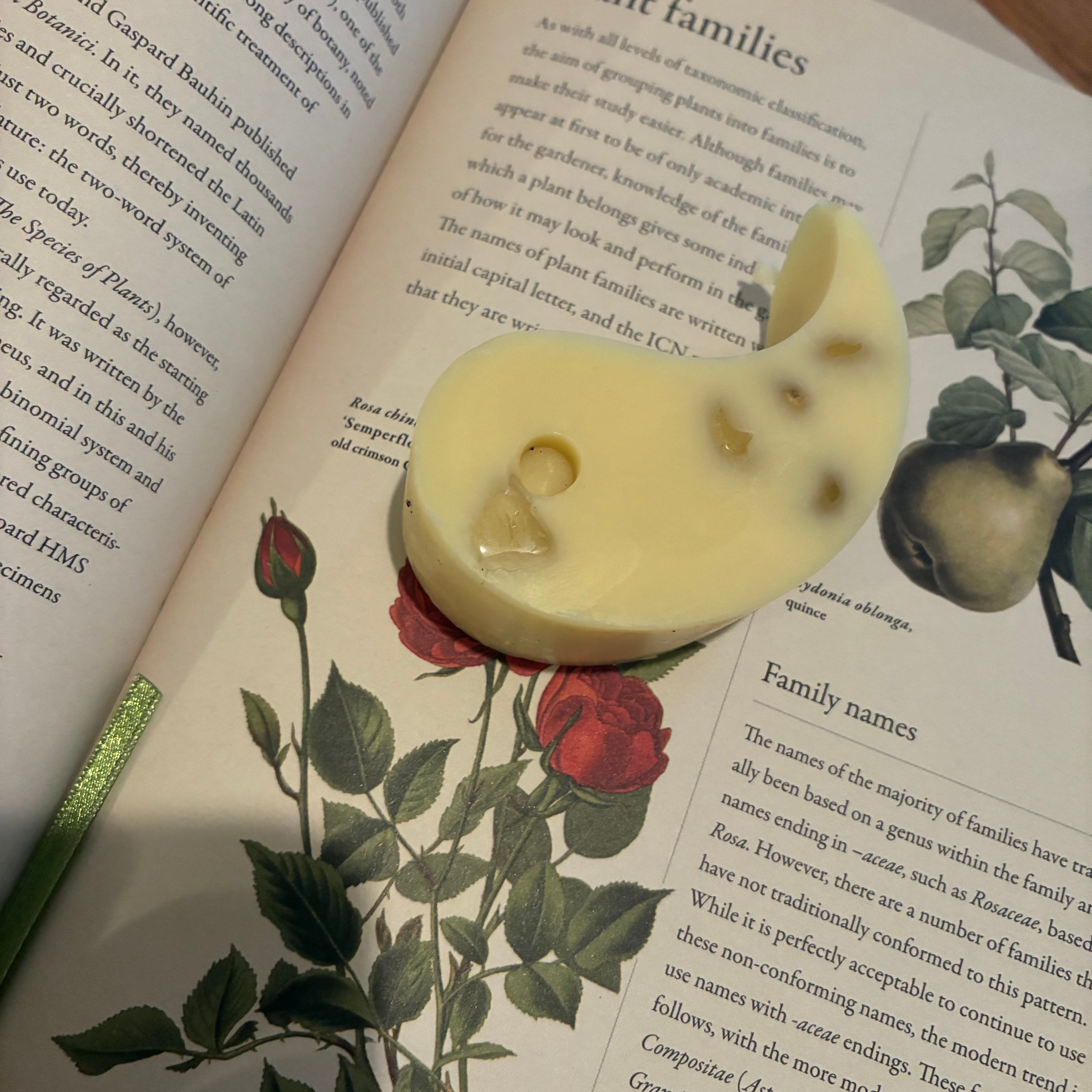 「陰陽マッサージバーセット(特別版)」Yin and yang massage bar set ( special edition )