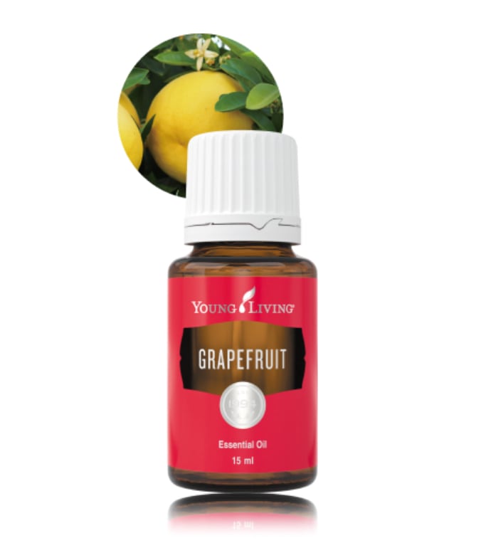 RC ヤングリビング社 ブレンド精油 5ml | shiinokijaya