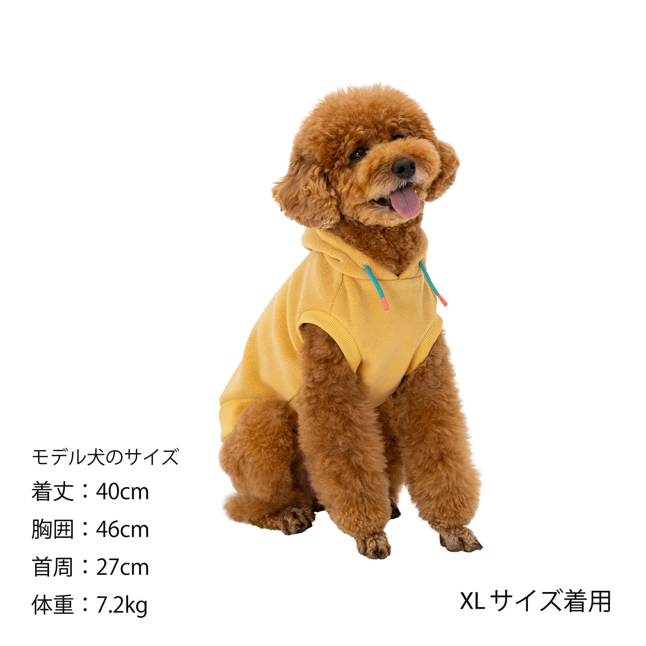 MNDRN HOODIE（XL.XLB.XXL）マンダリンフーディ | MANDARINE BROTHERS