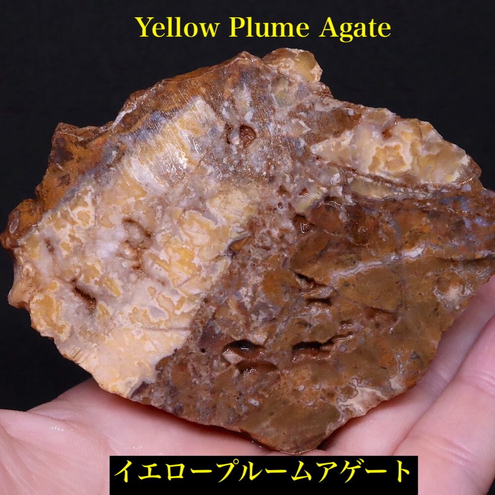 アゲート 瑪瑙 | 鉱物 天然石 American Minerals + Gemmy You アゲート 瑪瑙 | 鉱物 天然石 American Minerals + Gemmy You