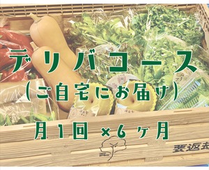 ［デリバコース・月１回×６ヶ月分］東京のお野菜お届けします！