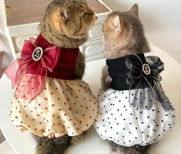 おすすめ☞《予約》3101301 デザイナーズ重ね着ドットワンピース