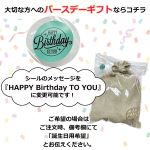 【ギフト袋に入れてお届け！】CARRY THE SUN キャリーザサン  Medium