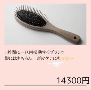 20%OFF⭐︎テラ　ブラシ