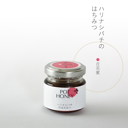 ハリナシバチの蜂蜜　　POT HONEY　百花蜜　40g