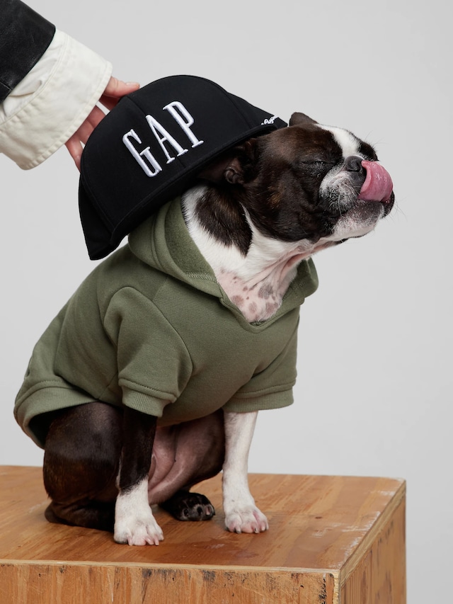 GAP 犬服 パーカー - 犬用品